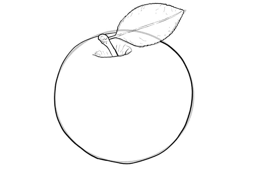 Apple Sketch 6