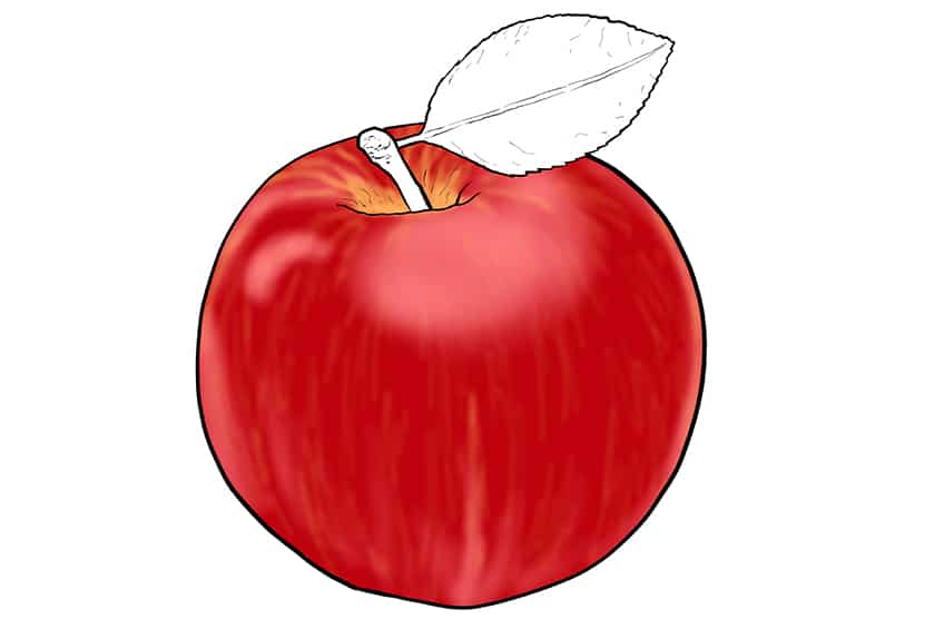 Apple Sketch 9