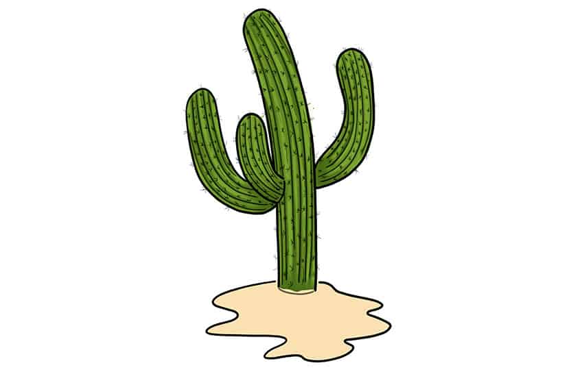 Cactus Sketch 10