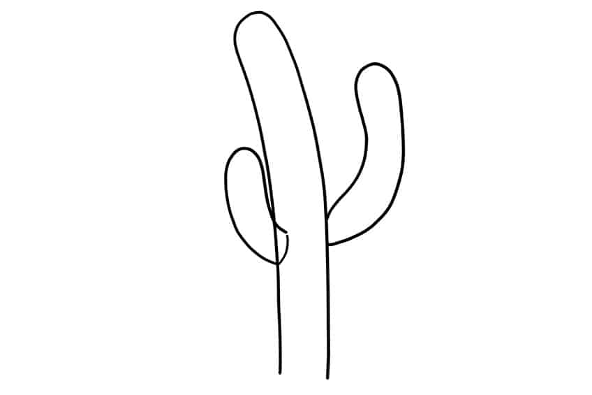 Cactus Sketch 3