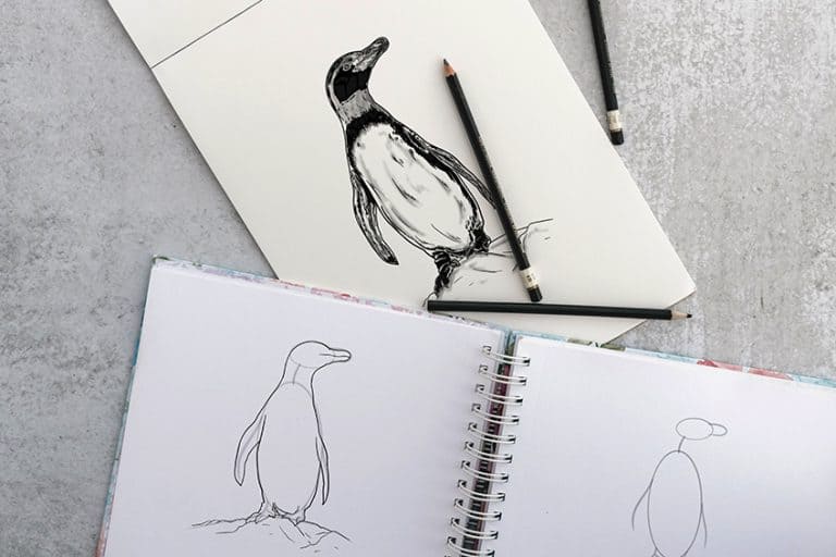How to Draw a Penguin – Step-by-Step Easy Penguin Drawing Tutorial     