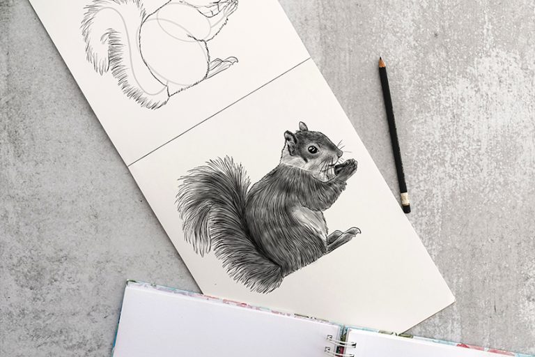 How to Draw a Squirrel – Step-by-Step Squirrel Drawing Tutorial