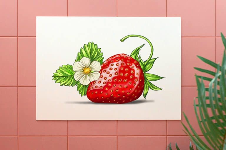How to Draw a Strawberry