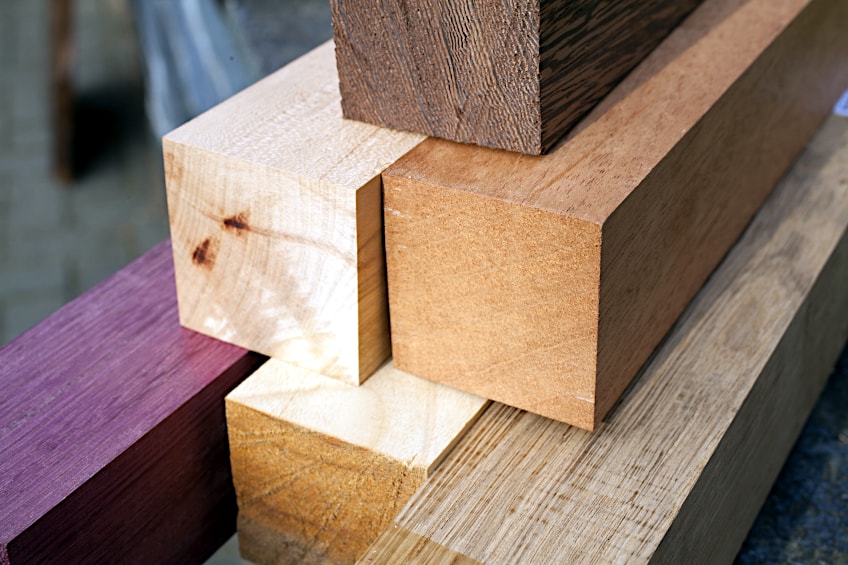Identify Wood from End-Grain