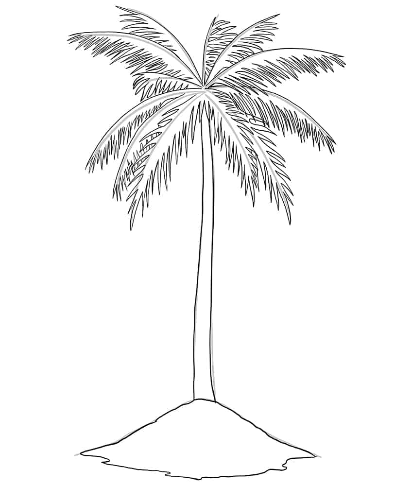 Palm Tree Sketch 6
